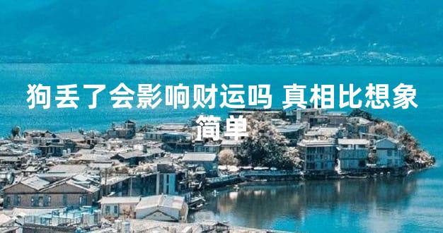 狗丢了会影响财运吗 真相比想象简单